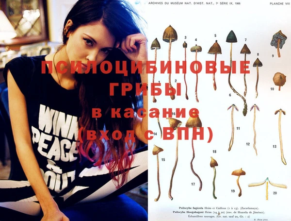 соль курить ск Аркадак
